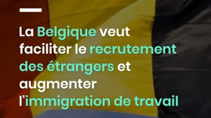 La Belgique veut faciliter le recrutement des étrangers et augmenter l'immigration de travail