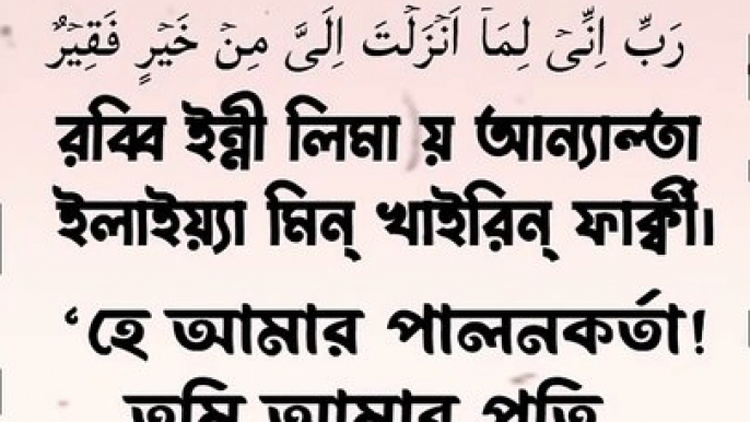 আমি তো তারই ভিখারী। দোয়া। সূরাঃ আল কাসাস, আয়াত২৪। #shortvideo #দোয়া #islamicvideo #islamicshorts