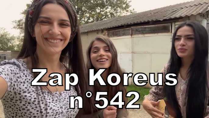 Zap Koreus n°542