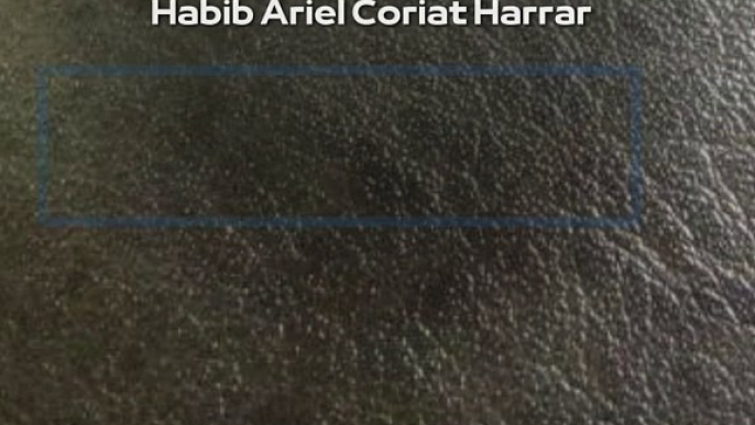 |HABIB ARIEL CORIAT HARRAR | NANOTECNOLOGÍA: IMPACTO POSITIVO EN LA VIDA DIARIA E INDUSTRIA (PARTE 3) (@HABIBARIELC)