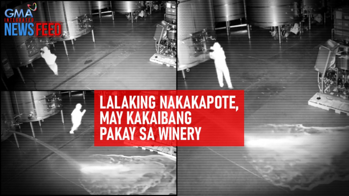 Lalaking naka-kapote, may kakaibang pakay sa winery | GMA Integrated Newsfeed