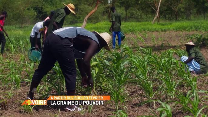 LA GRAINE DU POUVOIR [AFRO PLURIEL] - DU LUNDI AU VENDREDI À 16H40 À PARTIR DU 29 FEVRIER 2024