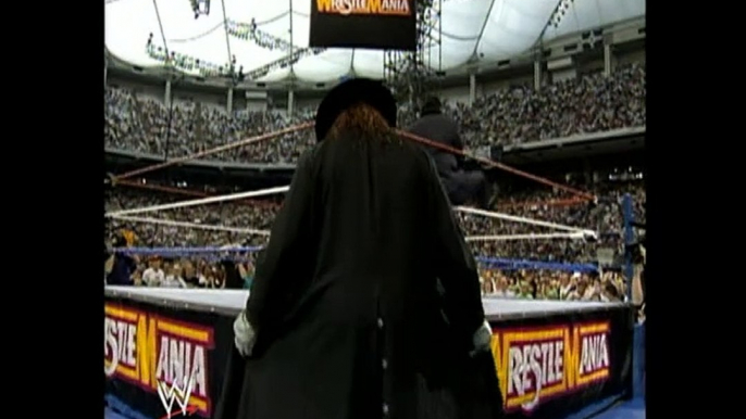 WWE superstars analysis on undertakers streak 2003.