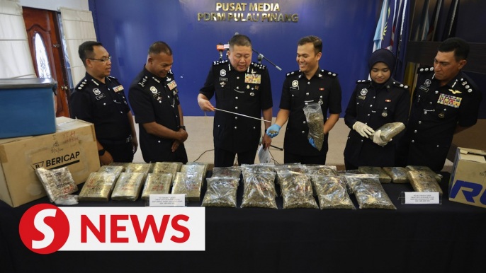 Cops nab drug trafficking syndicate mastermind in Penang