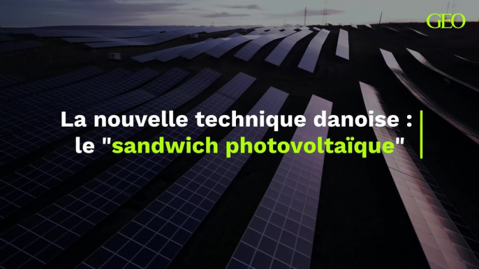 Une nouvelle technologie pour l'écologie : le "sandwich photovoltaïque" danois