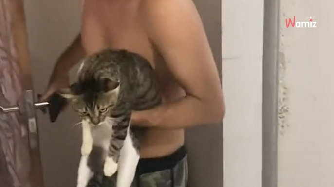 Video. Dopo una serata al bar rientra a casa e trova il gatto ad aspettarlo: ma il suo micio è già in casa!