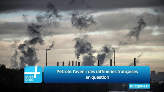 Pétrole: l'avenir des raffineries françaises en question