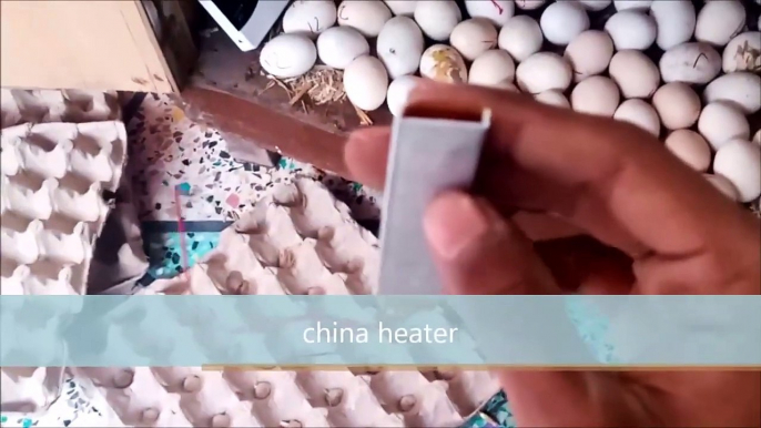 Easy idea to Hatch Eggs without BULB __  DIY -   Homemade 220 eggs INCUBATOR __  Hatching egg