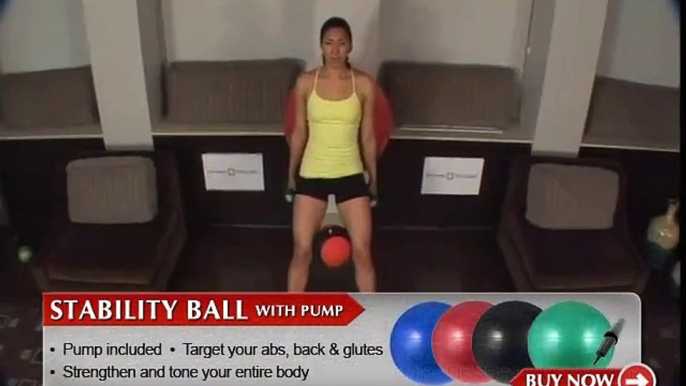 Wall Squats Exercise Ball and Medicine Ball  Fitness Republic