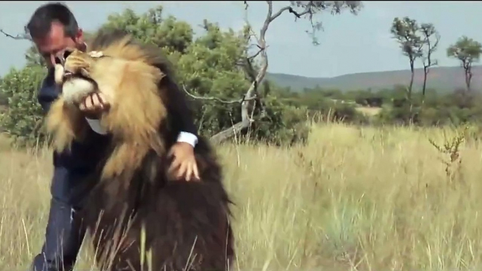 Hombre juega fútbol con leones salvajes