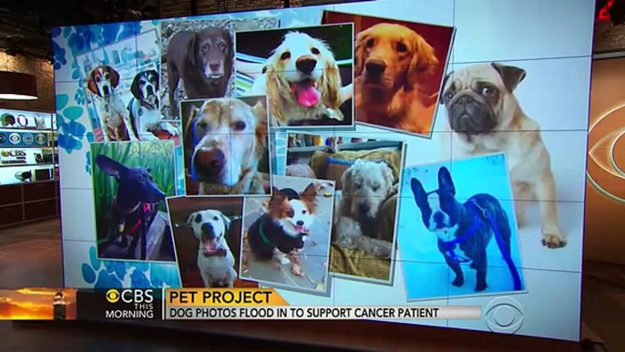 "Perritos de Anthony" fotos inundan en apoyar paciente de cáncer