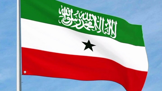 Somaliland Flag. Flag of Somaliland. Bendera Somaliland. Drapeau De La Somaliland. Drapeau De Somaliland. Drapeau Du Somaliland. Drapeau Somaliland