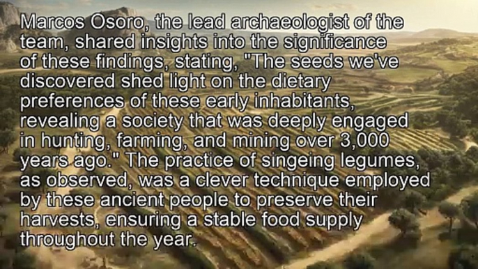 "Ancient Iberian Diet Unveiled: Seeds, Agriculture, and Preservation Techniques"