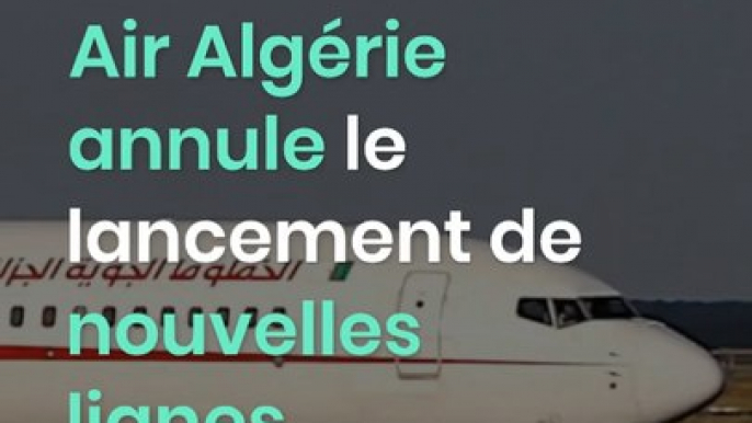 Air Algérie annule le lancement de nouvelles lignes