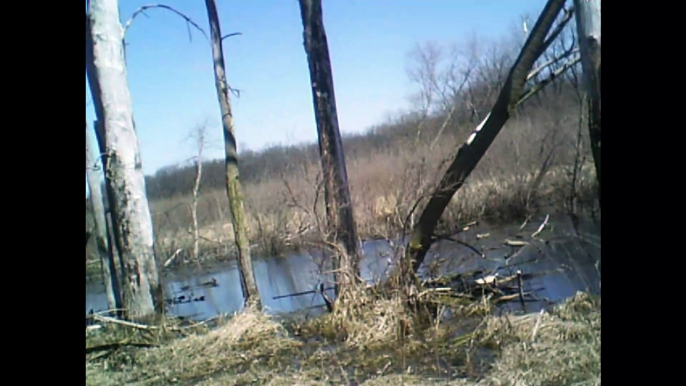 ferguson bayou part 1