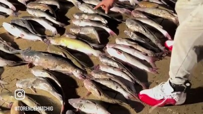 Boosie claims he caught 126 fish, while fishing