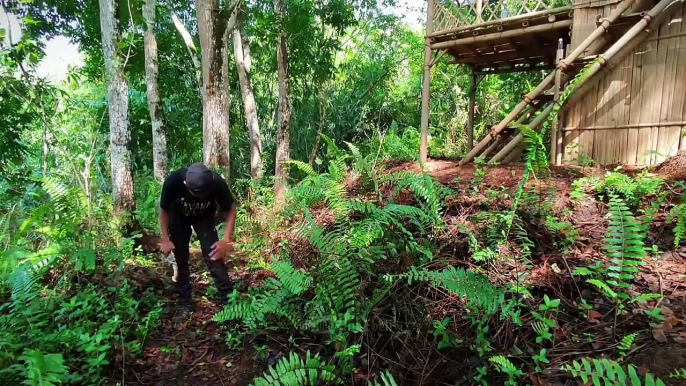 2 days solo camping-Build a comfortable shelter with a bath & small plantation field