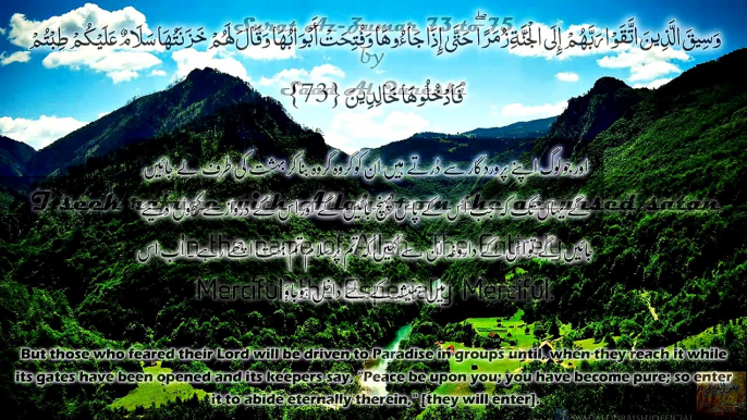 Surah zumar | Surah Zumar is mainly about inviting people to monotheism and sincerity in acts of worship| Anum Pk Studio