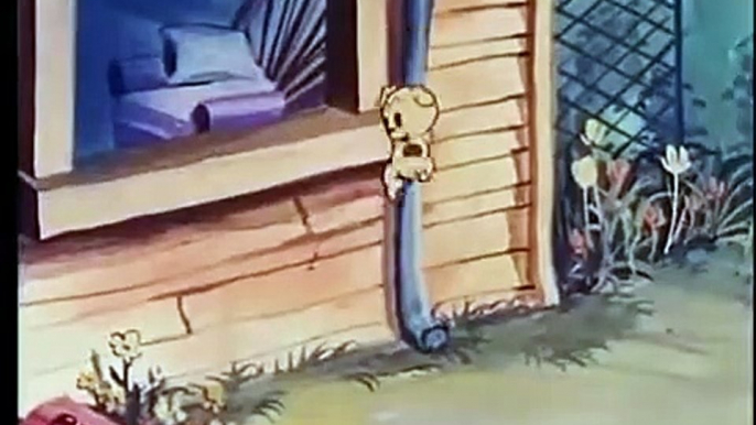 Betty Boop Ding Dong Doggie (1937) (Colorized) (Spanish)