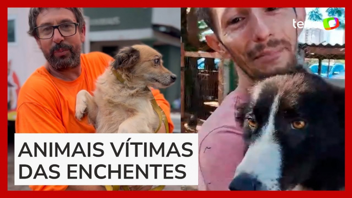 Tutores se emocionam ao reencontrarem animais perdidos nas enchentes no RS