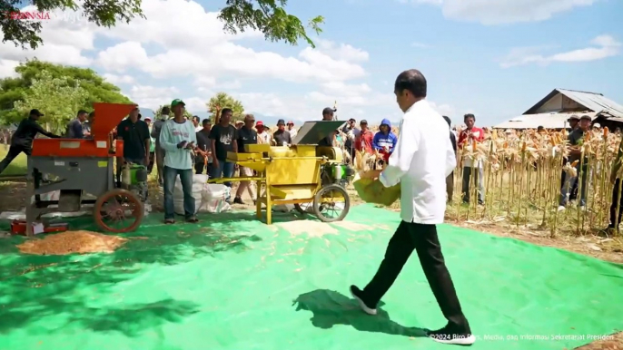 Presiden Jokowi Tekankan Pentingnya Keseimbangan Harga Jagung