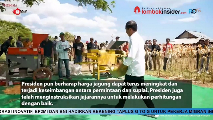 TINJAU PANEN JAGUNG DI SUMBAWA, PRESIDEN JOKOWI TEKANKAN PENTINGNYA KESEIMBANGAN HARGA