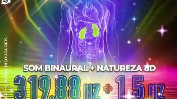 RINS 319.88 Hz : Frequencia dos Rins Saudáveis + Ondas Binaurais 1.5 Hz + Canto e Natureza Imersiva em 8D