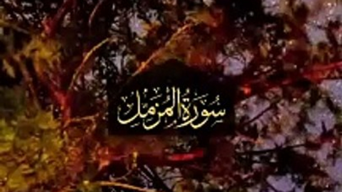 Surah Muzammil Tilawat - Surah Al-Muzammil Recitation - beautiful quran recitation - quran recitation - Quran Studio