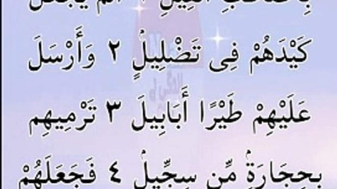 سورة الفیل  #quran #islamic #shorts #viral #tilawat  #NaatZindagiHai35  #نعت_زندگی_ہے  #quran #islamic #shorts #viral #tilawat #quran  #islamic #shorts #viral #tilawat #quran #quranrecitation #islamicvideo #islamicstatus #shortfeed