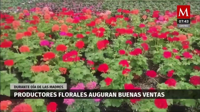 Productores de flores pronostican altas ventas en este día de las madres