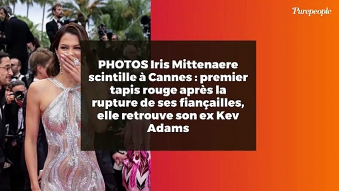 PHOTOS Iris Mittenaere scintille à Cannes : premier tapis rouge après la rupture de ses fiançailles, elle retrouve son ex Kev Adams