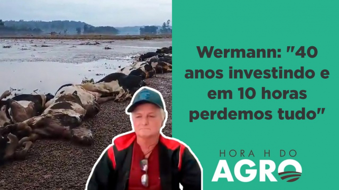 Produtor de leite perde mais de 100 animais para as enchentes no RS | HORA H DO AGRO