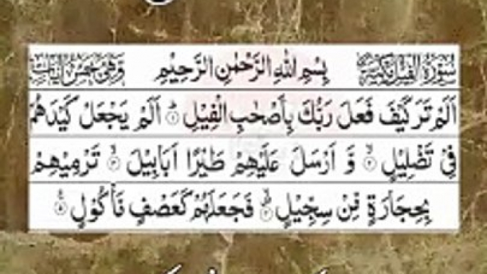 سورةالفیل  Most Beautiful Voice Surah Al Feel #quran #islamic #shorts #viral #tilawat_e_quran #islamicstatus #islamicvideo #trending  #NaatZindagiHai35 #نعت_زندگی_ہے  #quran #islamic #ytshorts #viral #tilawat #quran #islamic #tiktokshorts #viral #tilawat