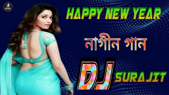 HAPP NEW YEAR NAGIN SONG