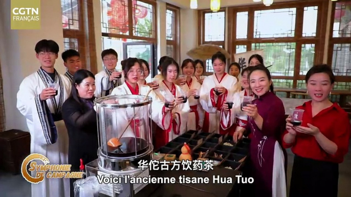 Bozhou : La fête des bateaux-dragons dans la ville natale de Hua Tuo