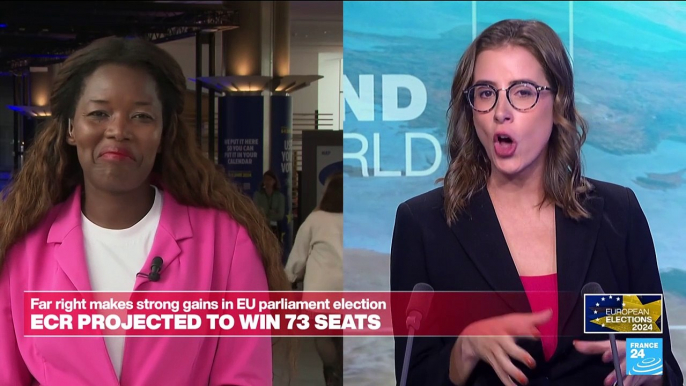 EU elections: Right-wing MEP not considering alliance with the far-right on immigration