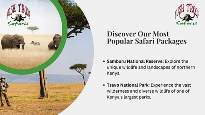 Kenya Wildlife Safari Packages with Bushtroop Tours & Safaris