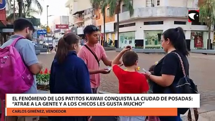 El fenómeno de los patitos kawaii conquista la ciudad de Posadas “Atrae a la gente y a los chicos les gusta mucho”