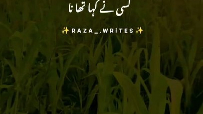 Peer Ajmal Raza Qadri Poetry Status _ Sad poetry Status #trending  #poetry #whatsappstatus #shorts