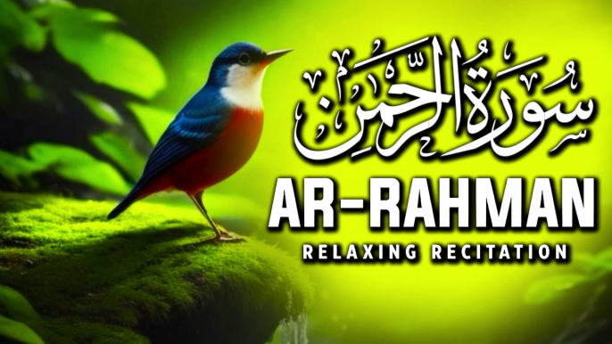 Surah Rahman | Natural Relaxing Recitation | Beautiful Recitation | Tilawat Quran | Stunning Recitation