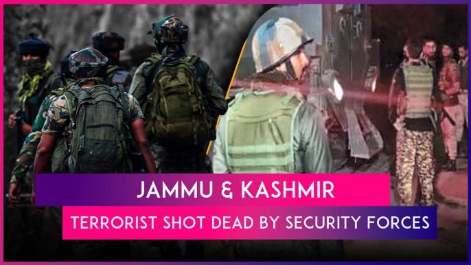 Jammu & Kashmir: One Terrorist Shot Dead By Security Forces After Attack On A Village In Kathua