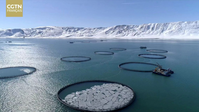 Le miracle de l'aquaculture dans le Xinjiang, la région la plus éloignée des côtes chinoises