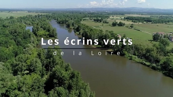Les écrins verts de la Loire, série documentaire TL7