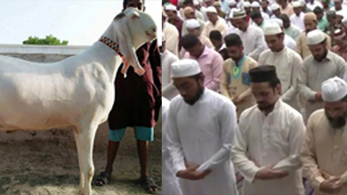 Eid Ul Adha 2024: बकरीद की नमाज़ कैसे पढ़े | Bakrid Ki Namaz Padhne Ka Tarika | Boldsky