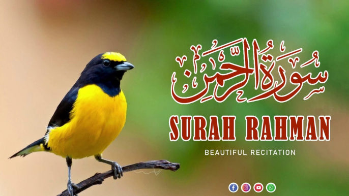 Surah Rahman- Beautiful and Heart Trembling Quran Recitation By Qari Sadaqat Ali | Tilawat Quran|