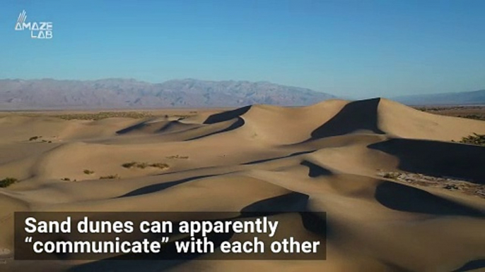 Did You Know That Sand Dunes Can Actually Communicate With One Another?