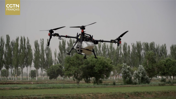 Des domaines numériques sans personnel pour une agriculture intelligente moderne