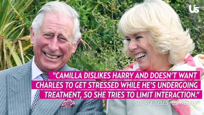 King Charles III feels torn between Queen Camilla and Prince Harry