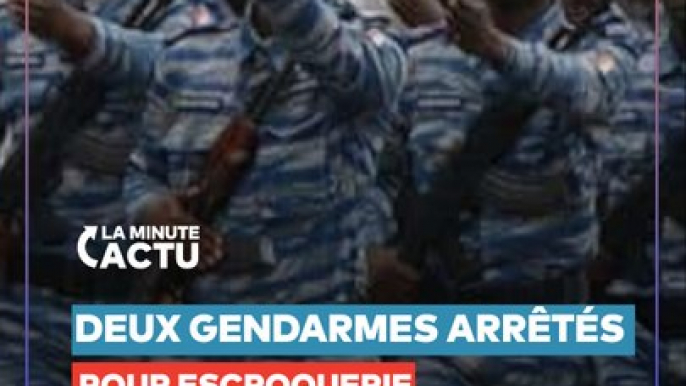 FERKÉSSÉDOUGOU: 2 GENDARMES ARRÊTÉS POUR ESCROQUERIE SUR UN ÉLEVEUR #SHORT