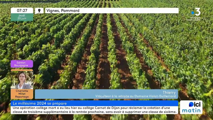 20/06/2024 - Le 6/9 de France Bleu Bourgogne en vidéo